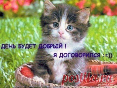 Я всех люблю.