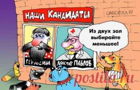 Бездна Рустории