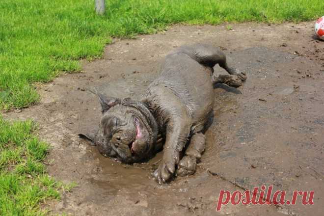 20 фотографий, которые сразили нас наповал