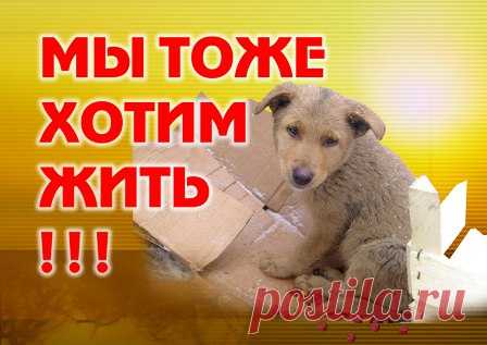 Анастасия-Александровна Разумовская-Волкова