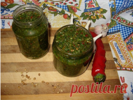 Любимая зеленая аджика 

Это вкусная приправа ко многим блюдам: к мясу, к картошке, она очень полезная для здоровья и долголетия. Ее можно кушать сразу или хранить в холодильнике до следующего лета, если только там что-то останется. Готовится необычайно просто и вкусно. Очень вкусно! Тот, кто попробует один раз, больше не сможет отказаться от нее.

Состав:
3-4 головки чеснока
3-4 луковицы
3-4 зеленых сладких перца
3 шт. горького перца
пучок петрушки
пучок укропа
некоторые ...