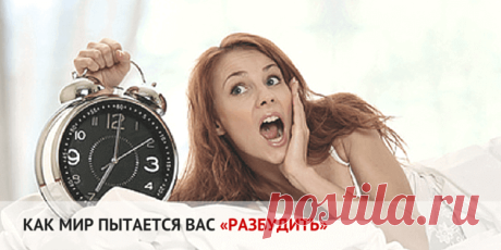 Как мир пытается вас разбудить