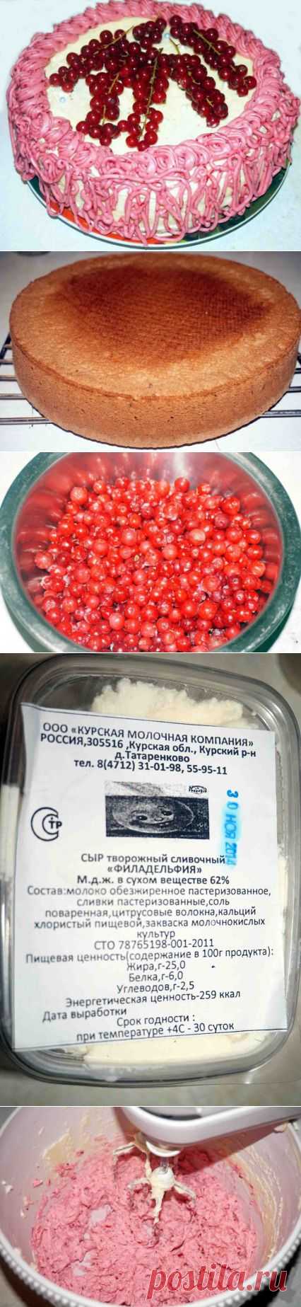 Торт «Смородинка» | Давай поговорим