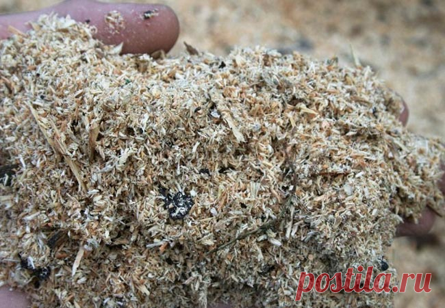 Использование отработанного грибного субстрата - AgroFlora.ru