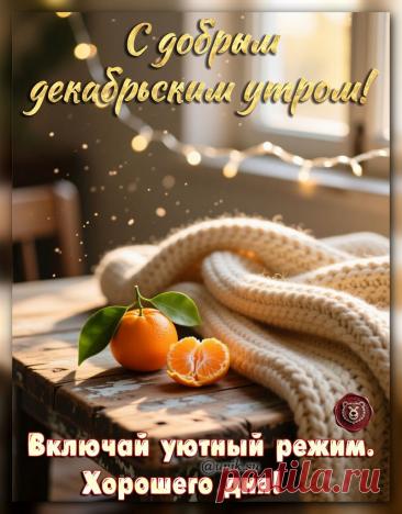 доброе утро картинки зимние декабрьские