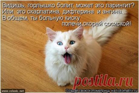 Полечи скорей