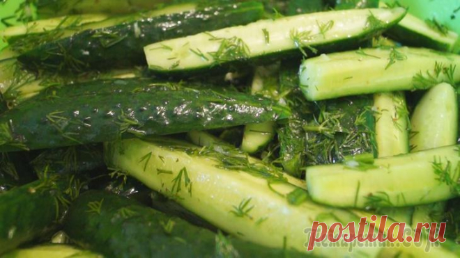 Малосольные огурцы, которые моментально исчезают со стола..