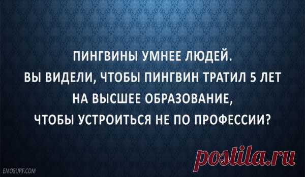 Немного интеллектуального юмора