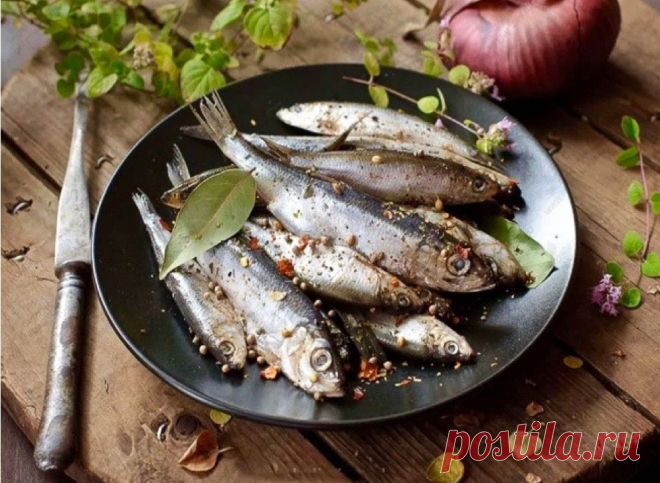 Секретная засолка селедки, кильки и хамсы. Такую закуску сметают со стола за минуту. | Правильно, готовим! | Дзен