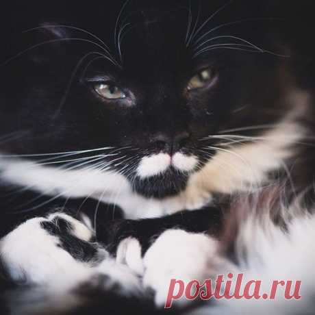 Эркусь Муаро