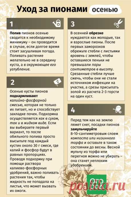 (2) Facebook