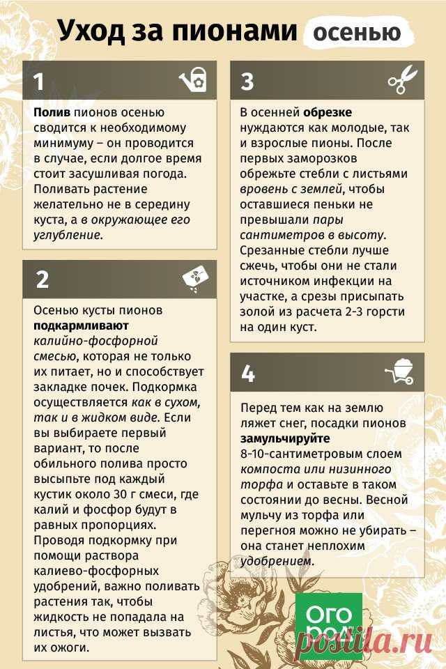 (2) Facebook