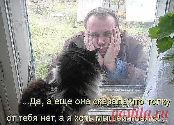 Мой Мир@Mail.Ru