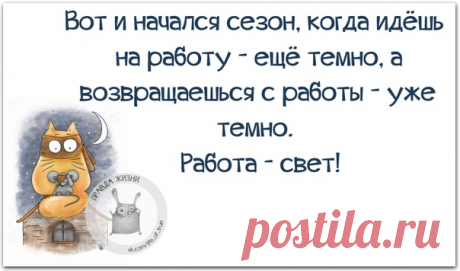 Правда Жизни | Юмор, Мотивация, Сарказм, Цитаты