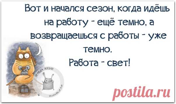 Правда Жизни | Юмор, Мотивация, Сарказм, Цитаты