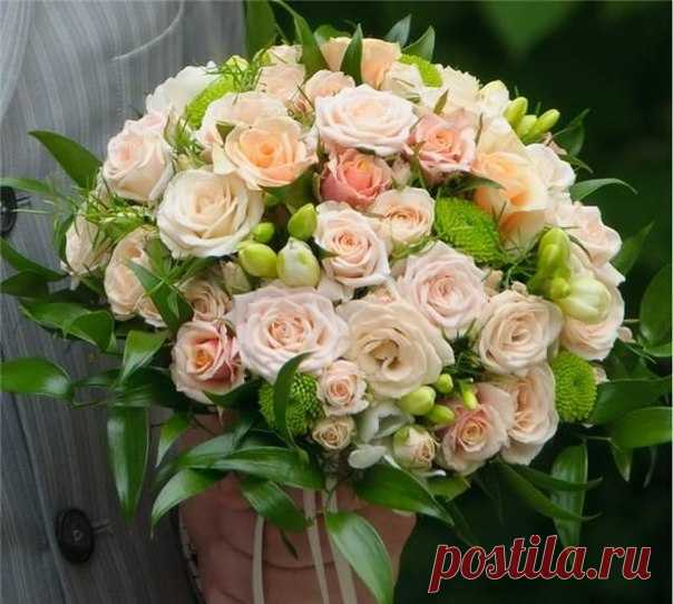 (8) Мой Мир@Mail.Ru