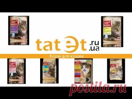 Камертоны для акустических гитар. Хороший Выбор для Вас.