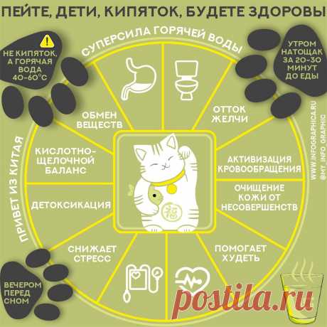 Пить кипяток и худеть? Да, это работает | InfoGraphic | Яндекс Дзен