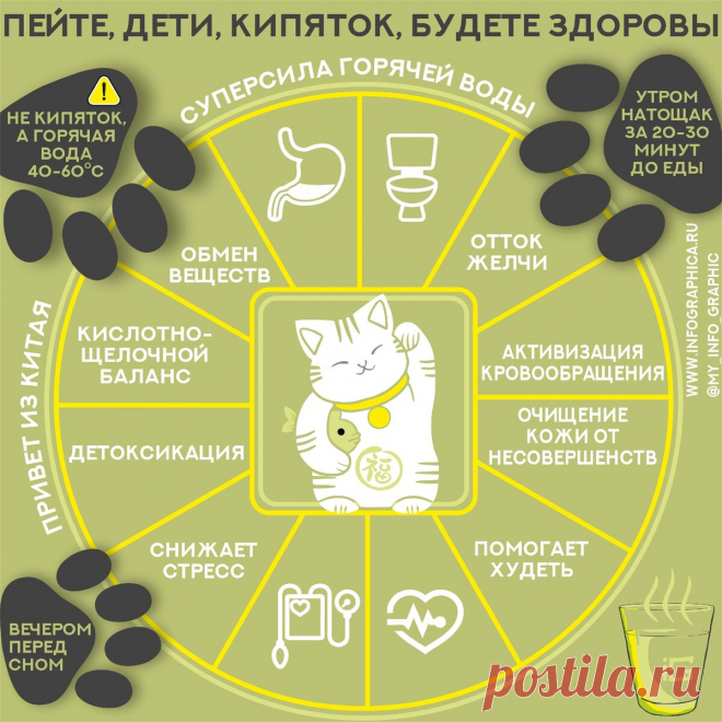 Пить кипяток и худеть? Да, это работает | InfoGraphic | Яндекс Дзен