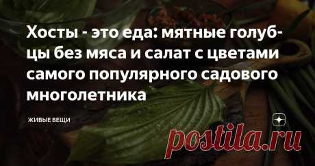 Хосты - это еда: мятные голубцы без мяса и салат с цветами самого популярного садового многолетника Статья автора «Живые вещи» в Дзене ✍: Тенелюбивые гости сада с роскошными листьями и скромными цветами-колокольчиками - без сомнения знают многие.