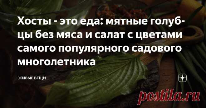 Хосты - это еда: мятные голубцы без мяса и салат с цветами самого популярного садового многолетника Статья автора «Живые вещи» в Дзене ✍: Тенелюбивые гости сада с роскошными листьями и скромными цветами-колокольчиками - без сомнения знают многие.