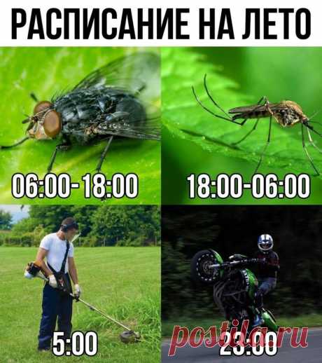 Мемы россыпью, часть 336 / Алексей Вязовский @id32837226. Опубликовано: 26 апр. 2025 в 5:33