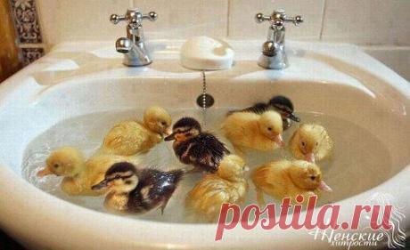 (40) Одноклассники