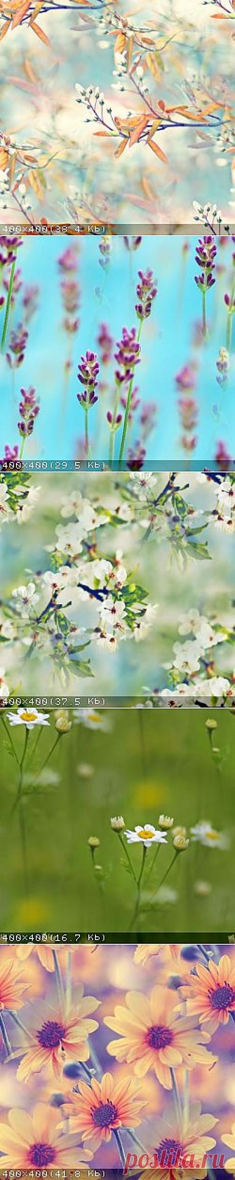 @дневники — Прекрасные фоны для дневников