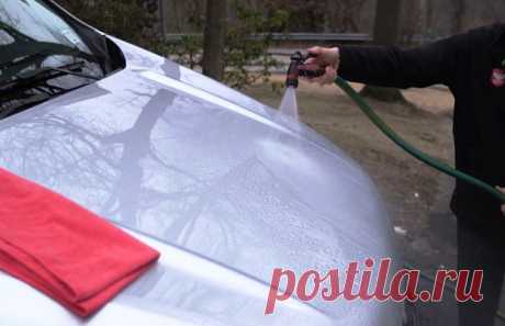 Как удалить птичий помёт с кузова автомобиля — Популярная механика
