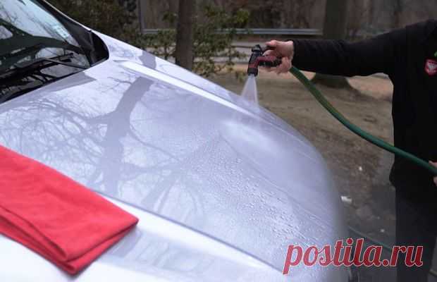 Как удалить птичий помёт с кузова автомобиля — Популярная механика
