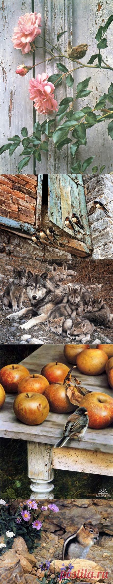 Животные и птицы дикой природы от Carl Brenders.