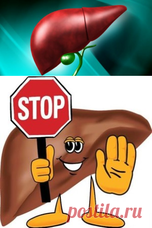 Что полезно для печени и что вредно – это надо знать
Приветствую постоянных читателей и гостей! В этой статье основная информация об этом органе, какая еда полезна для печени человека и советы, которые пригодятся. В конце статьи видео по теме.Что такое печень и зачем она нужна? Печень (греч. Hepar) — орган в брюшной полости, самая крупная железа внешней секреции, выполняющая большое количество различных физиологических функций в организме человека и позвоночных животных. Посмотрите на рисунок