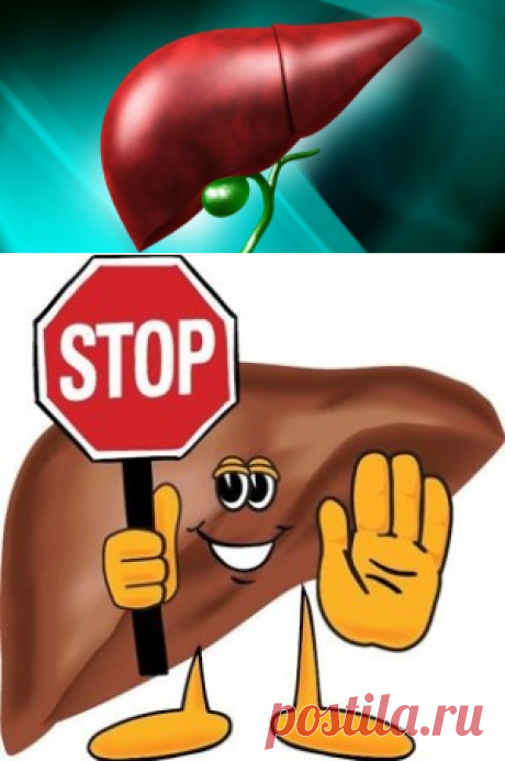 Что полезно для печени и что вредно – это надо знать
Приветствую постоянных читателей и гостей! В этой статье основная информация об этом органе, какая еда полезна для печени человека и советы, которые пригодятся. В конце статьи видео по теме.Что такое печень и зачем она нужна? Печень (греч. Hepar) — орган в брюшной полости, самая крупная железа внешней секреции, выполняющая большое количество различных физиологических функций в организме человека и позвоночных животных. Посмотрите на рисунок