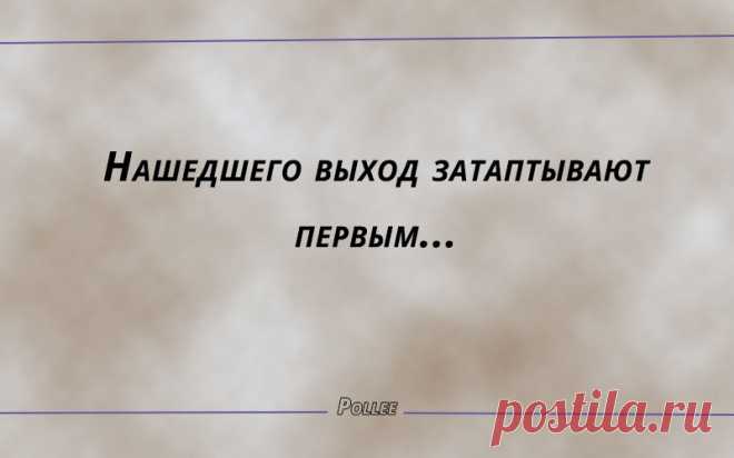 20 метких афоризмов, которые редко услышишь | Pollee - сливки Интернета