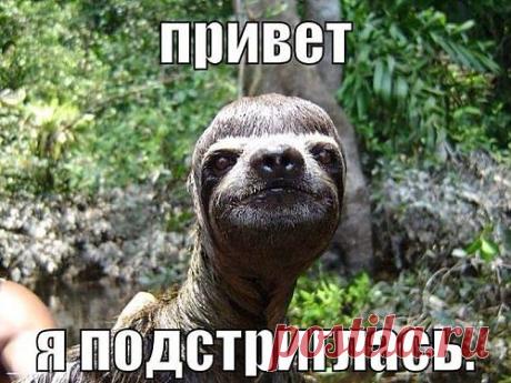 Фото-приколы » Страница 5