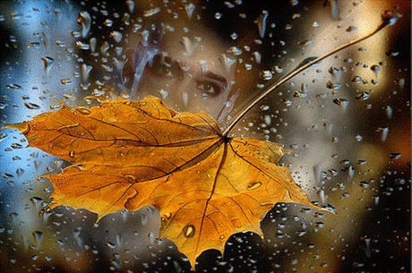 Последний осенний лист - осень - Времена годаоткрытка для Ватсап (WhatsApp)