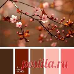 Цветовая палитра №574