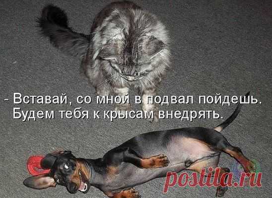 хх