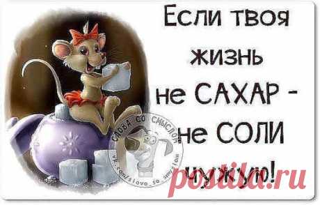 (7) Одноклассники