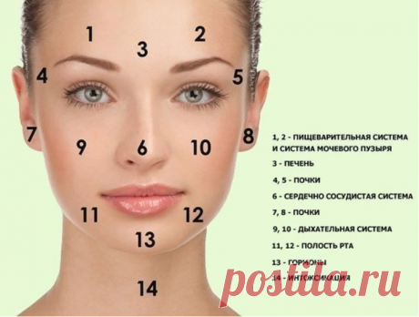 Прыщи расскажут о болезнях внутренних органов 

Изменение кожи лица всегда говорит о нарушениях в работе внутренних органов.






Прыщи-болезни внутренних органов
Каждый при первом знакомстве с человеком всегда уделяет внимание его лицу. Опытные…