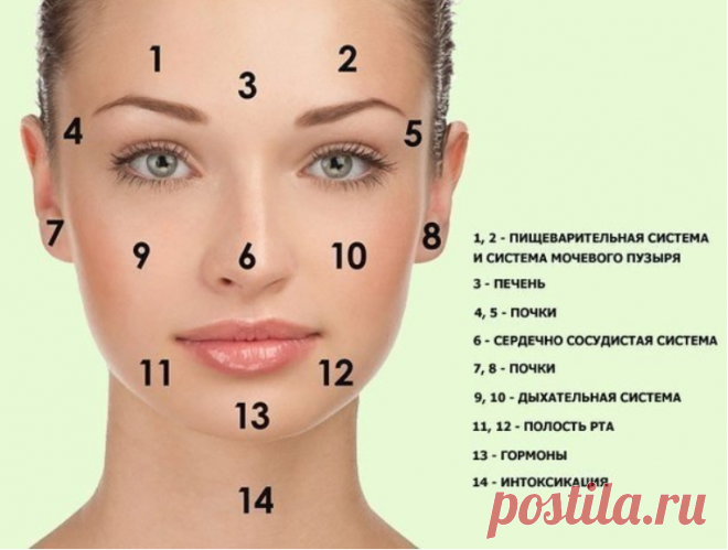 Прыщи расскажут о болезнях внутренних органов 

Изменение кожи лица всегда говорит о нарушениях в работе внутренних органов.






Прыщи-болезни внутренних органов
Каждый при первом знакомстве с человеком всегда уделяет внимание его лицу. Опытные…