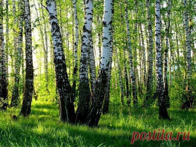 (27) Одноклассники