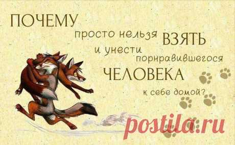 Всегда говори Да | Мотивация и вдохновение