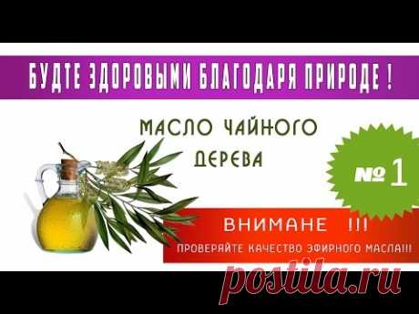 вылечить без лекарств. Чайное дерево.Ирина Бабушкина
