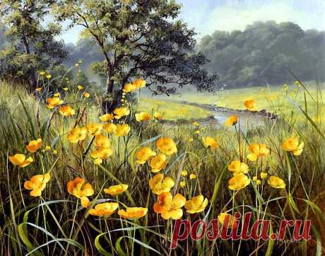 Художник Mary Dipnall. Полевые цветы... Разноцветье средь трав и росы....