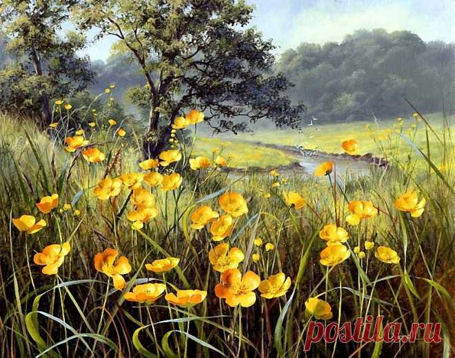 Художник Mary Dipnall. Полевые цветы... Разноцветье средь трав и росы....