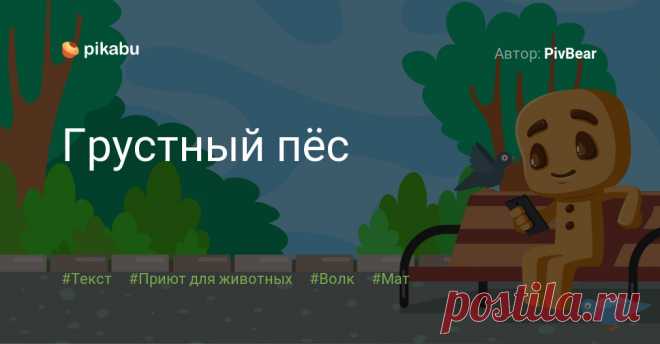 Грустный пёс Пост пикабушника PivBear