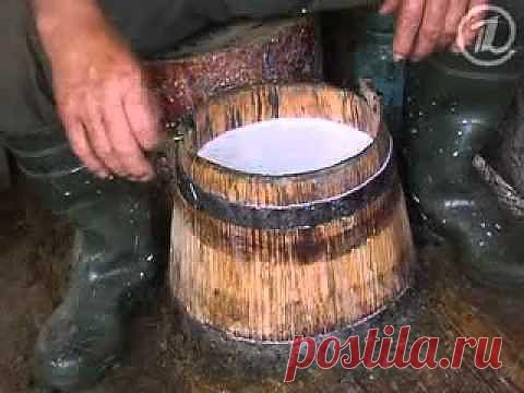 Делаем сыр. | БигФекс - форум о жизни в деревне, о здоровье и натуральных продуктах