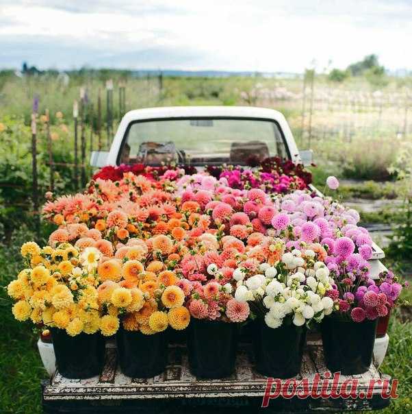 КАКОЙ СЕГОДНЯ ПРАЗДНИК? 5 Августа 2017 г. – Суббота • День пьяного курсанта • День распрямившегося штопора • Международный день светофора103 года • День разглядывания горизонта • День победы и благодарности отчизне - Хорватия • Именины у Трофима, Феофила, Михаила, Анны, Виталия, Андрея • День Почаевской иконы Божией Матери • Трофим Бессонник