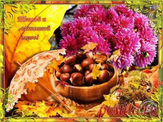 (1) Одноклассники